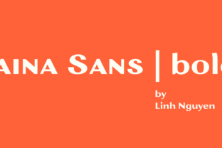Boost Your Campaign with Jaina Sans: A Bold and Clear Display Font