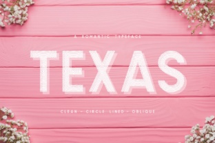 Boost Your Campaign with Texas a Romantic Typeface