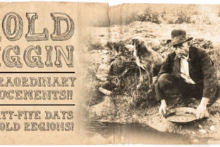 Enhance Your Brand with Gold Diggin: A Versatile Display Font