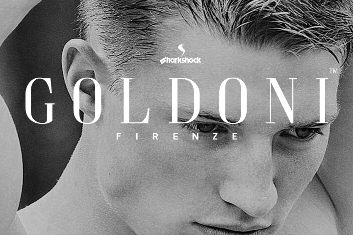 Goldoni: The Elegant Serif for Premium Web Design