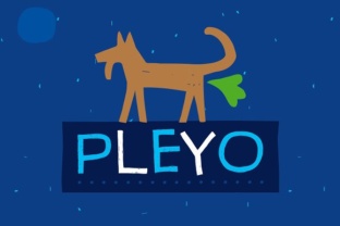 Pleyo: The Versatile Font for Professional Branding