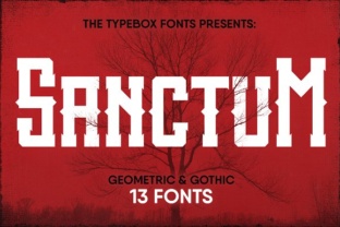 Sanctum Inky Collection: A Bold Font for Modern Web Design