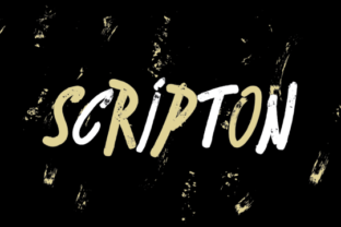 Scripton: A Dynamic Brush Font for Creative Branding