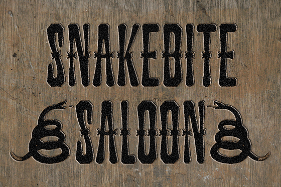 Snakebite Saloon: A Bold Font for Editorial Design