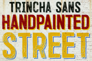 Trincha: A Bold and Vibrant Display Font for Marketers