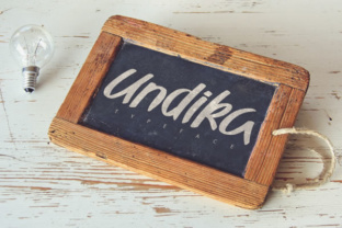 Undika: A Playful Font for Creative Branding